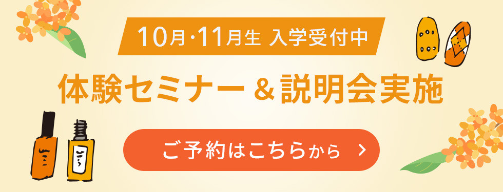 10月・11月生入学受付中 体験セミナー＆説明会実施 お気軽にご参加ください♪ご予約はこちらから