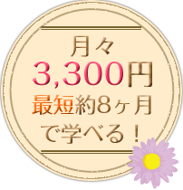 月々3300円