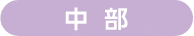 中  部
